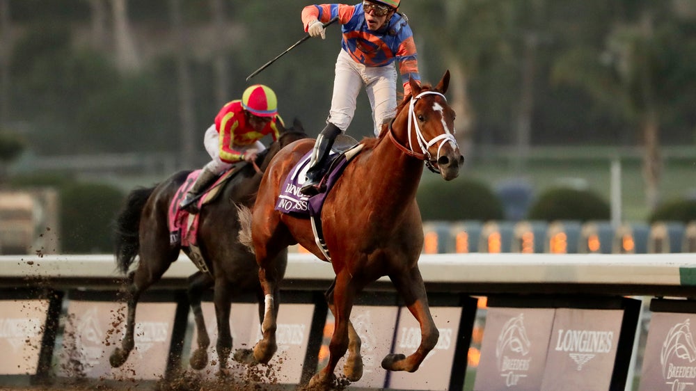 15-1 long shot fatally injured in Breeders' Cup Classic