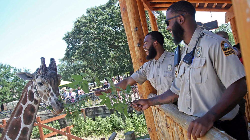 Photos of the Week: 8/5/18 - 8/11/18