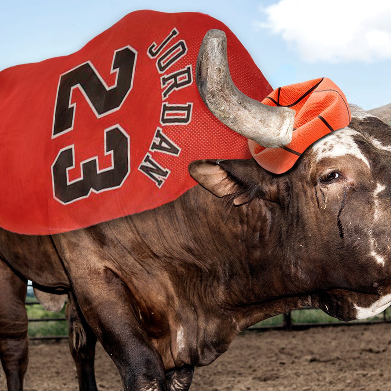 bushwacker bull wallpaper