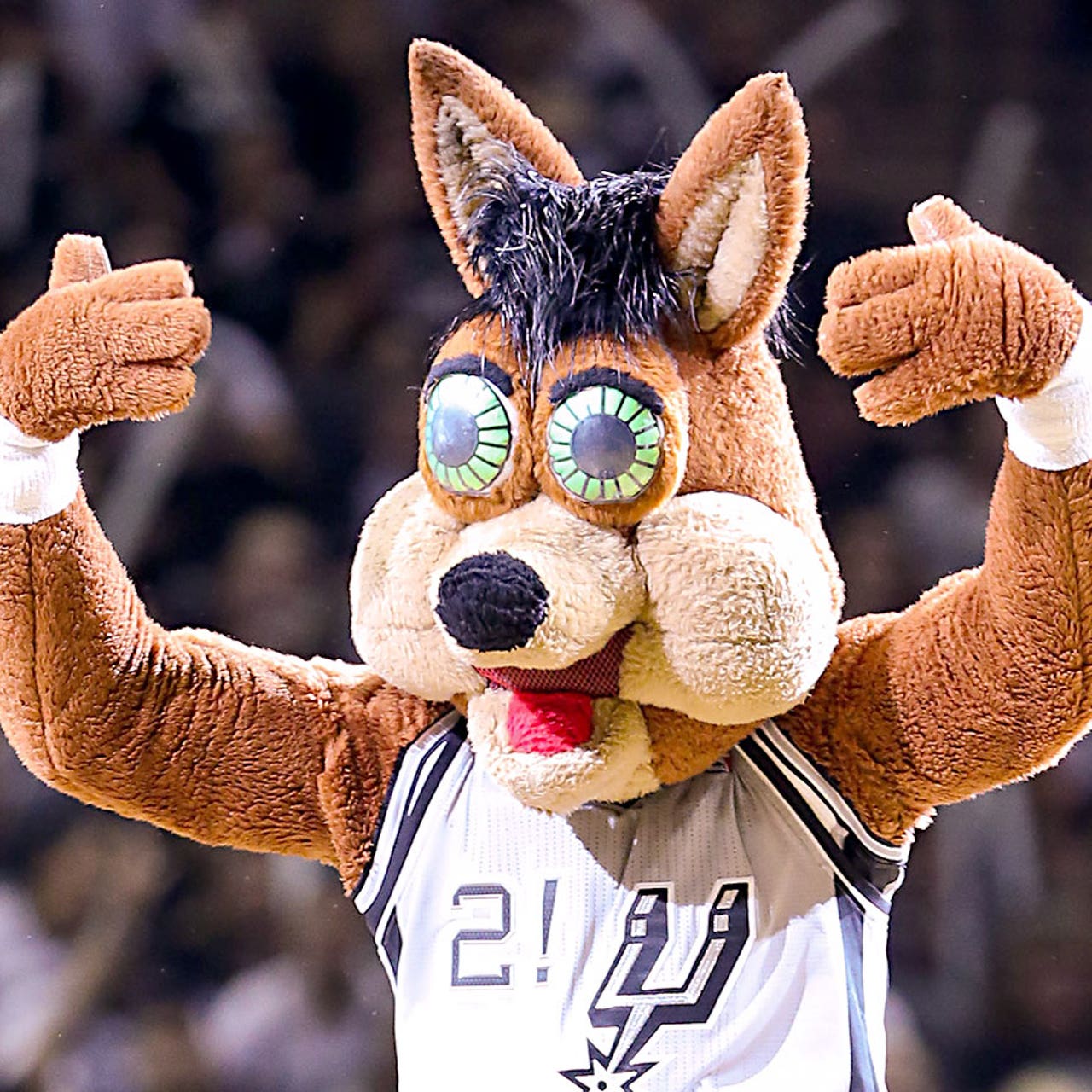 Spurs Coyote named second-worst NBA mascot by sports fans, survey