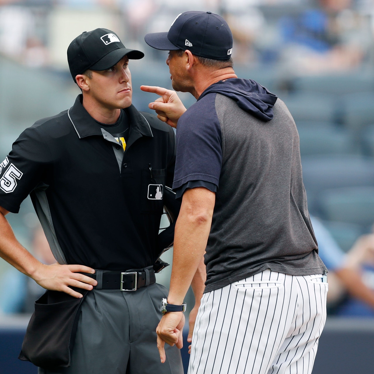 Blue Jays End the Yankees' Streak After Brett Gardner Is Ejected - The New  York Times