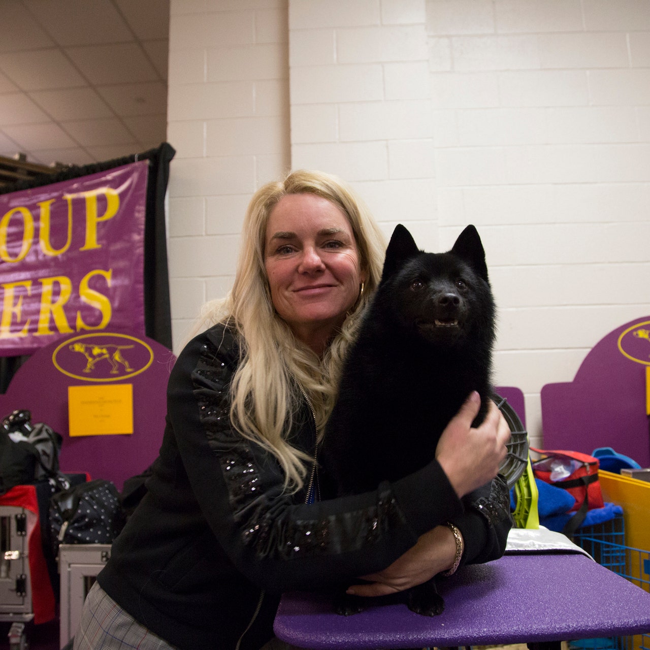 Westminster discount schipperke ineligible