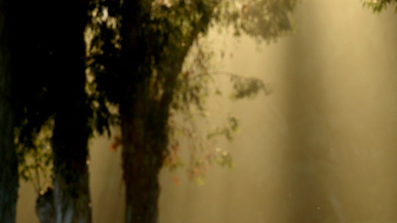 Survivor man: McDowell makes third stunning escape at Match Play