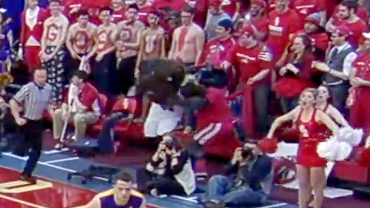 Albany, Stony Brook mascots scuffle during America East title game