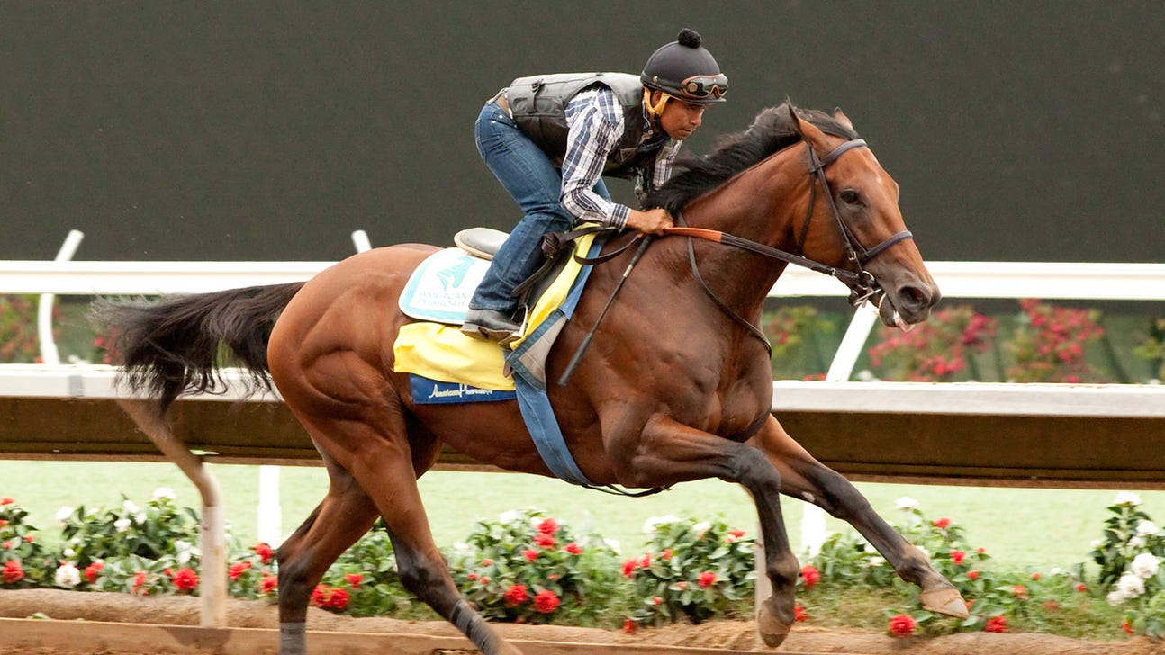 American Pharoah to continue racing, headed for Breeders' Cup Classic