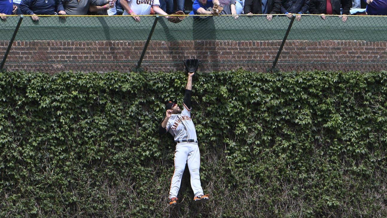 Chicago Cubs: Wrigley Field ivy on sale from 2016 World Series