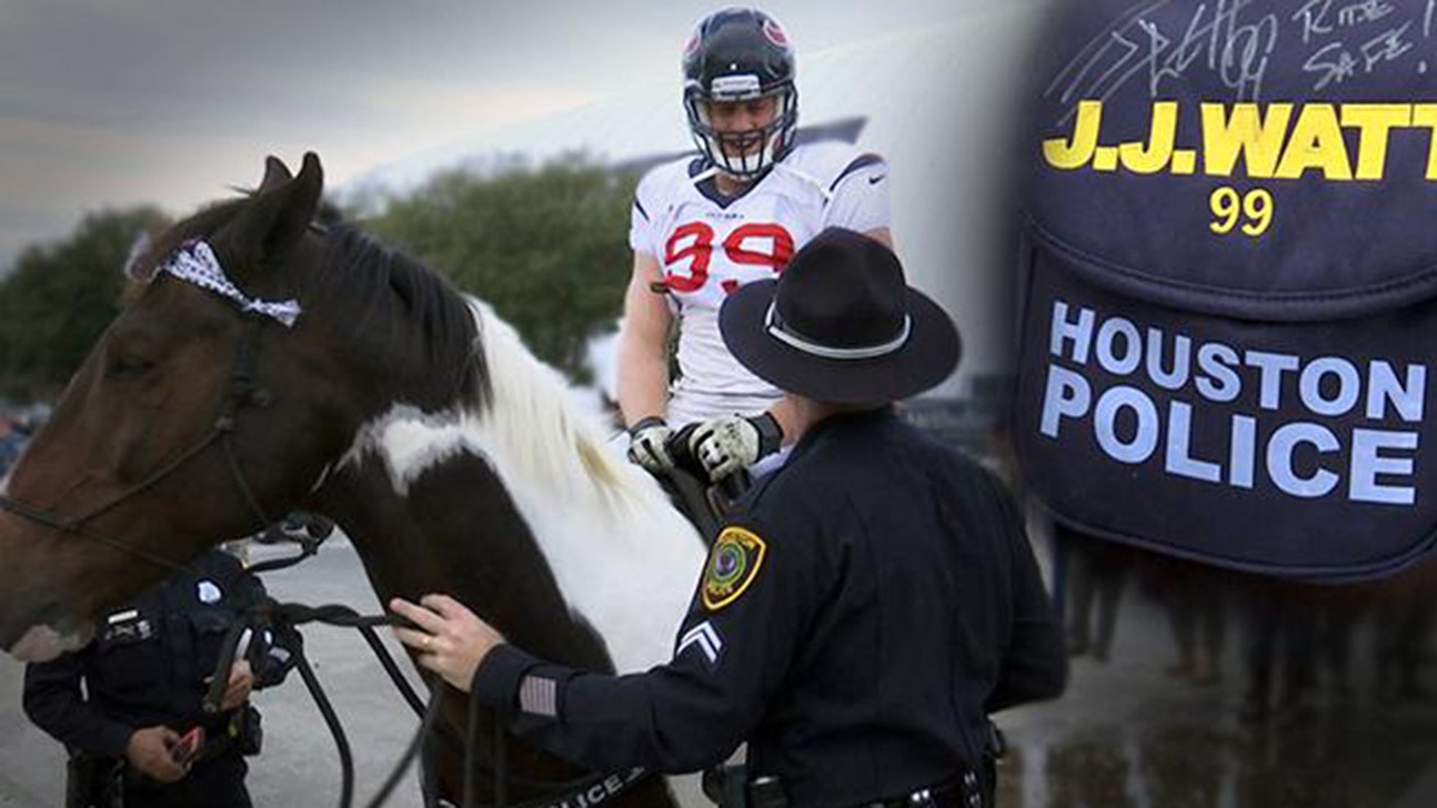 J.J. Watt meets J.J. Watt ... the horse