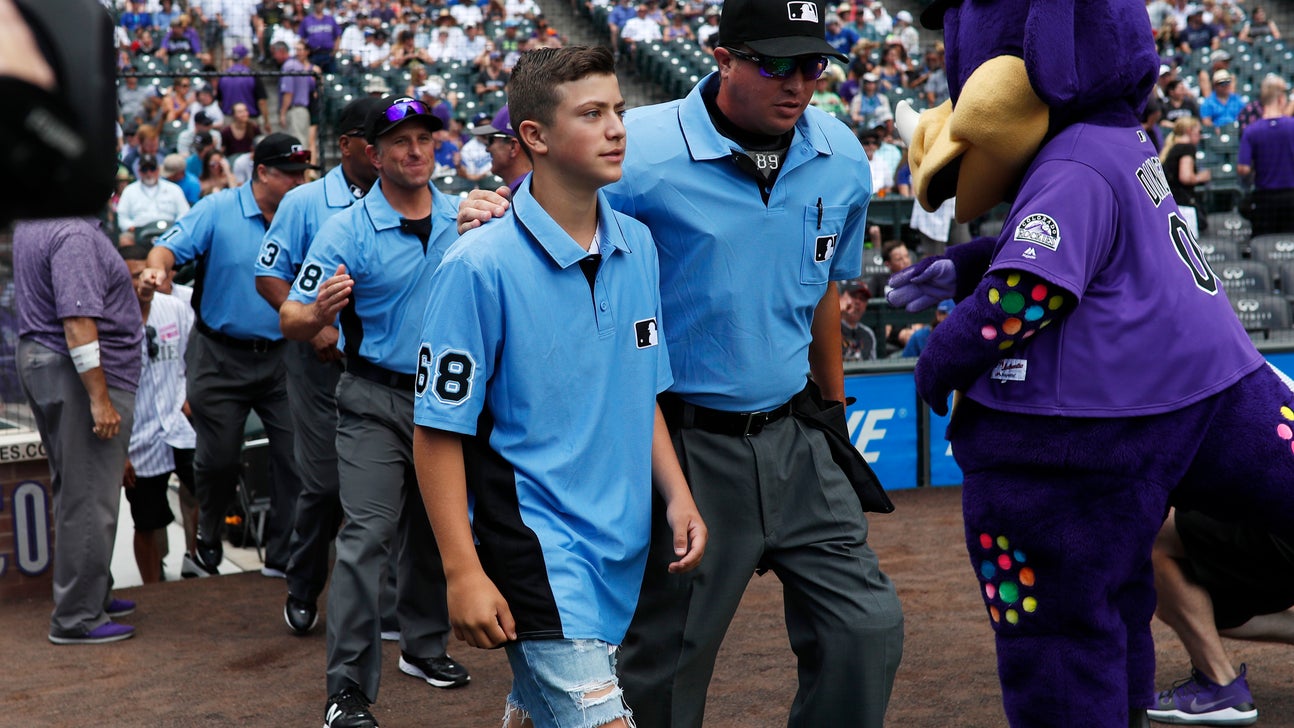 Teen ump caught in parents' brawl gets major league support
