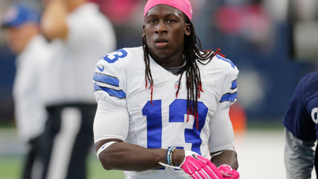 Cowboys' Whitehead: Stolen dog is safely back home