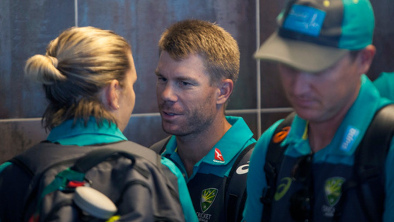 What we now know about Australian cricket's cheating scandal