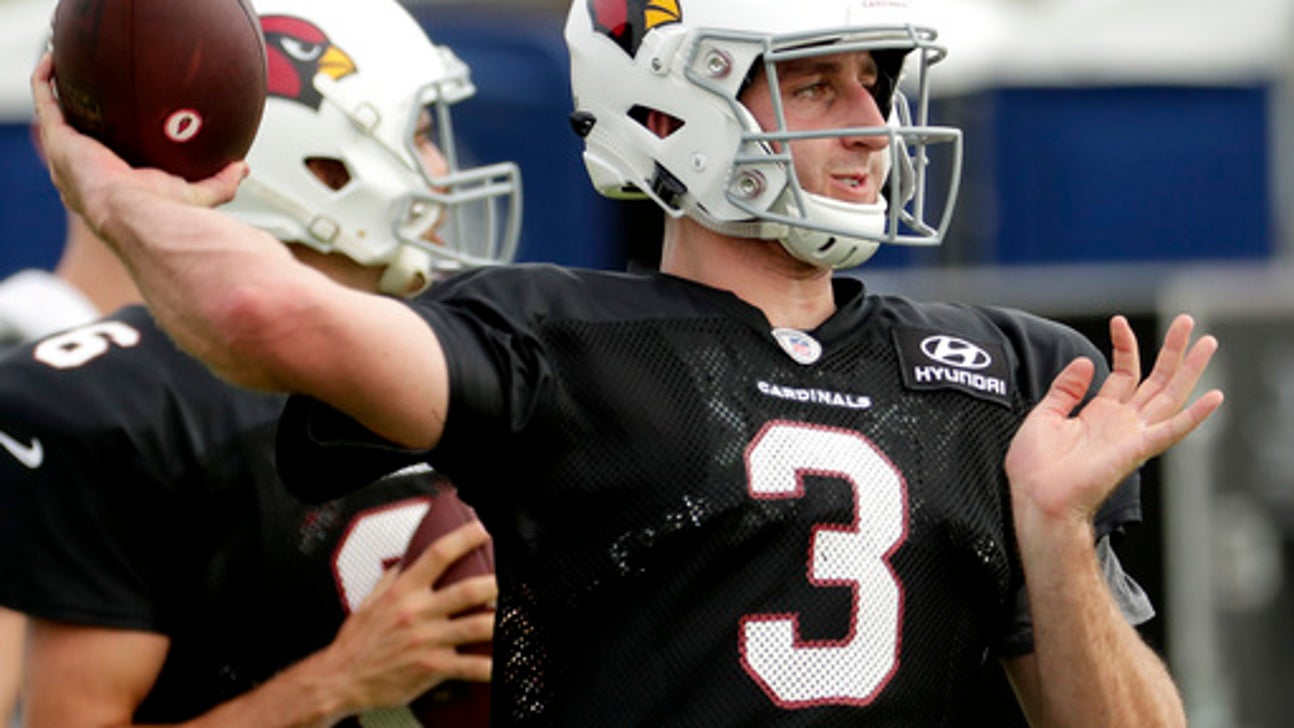 McCoy molding Arizona offense to fit his players’ talents