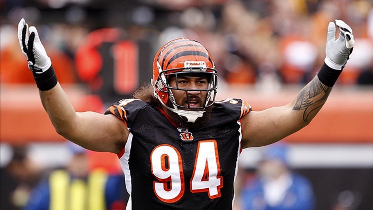 Cincinnati Bengals Free Agency 2017: Domata Peko