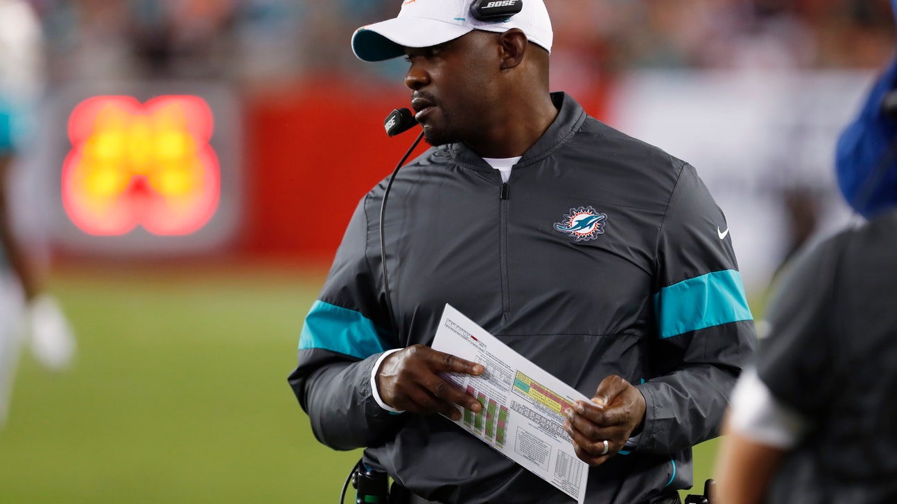 Dolphins Preview Capsule