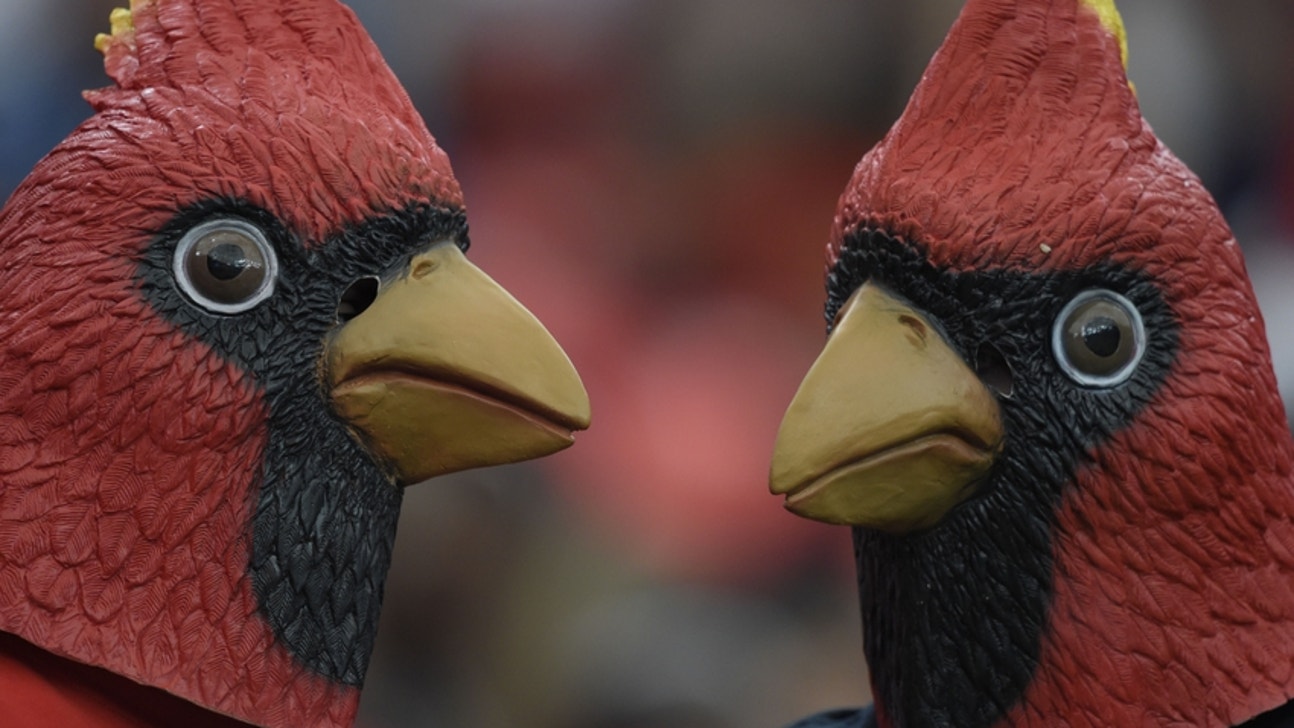 Louisville Football: Top Recruit Avery Picked The Cards Over These 3 Schools