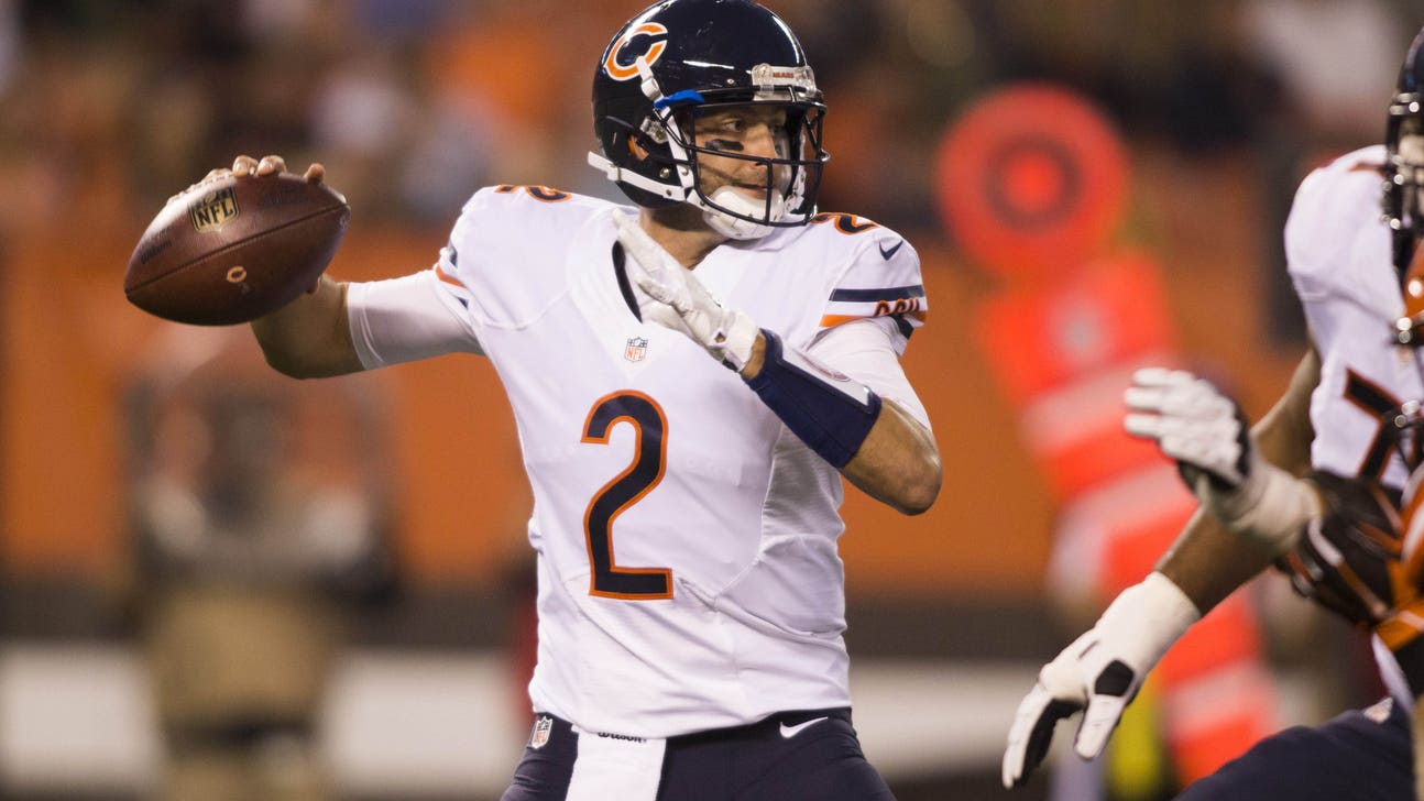 San Francisco 49ers: Brian Hoyer the Perfect Quarterback for Right Now