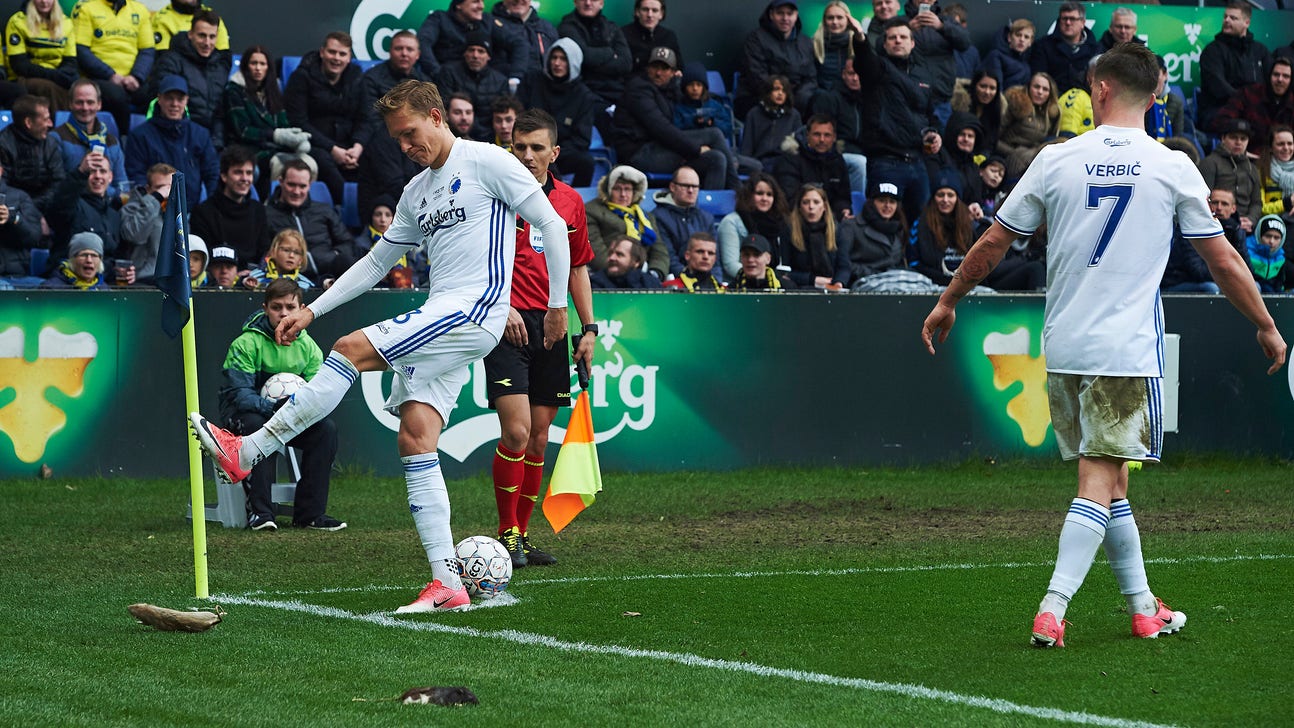 Video: Danish soccer fans shower opposing players with dead rats