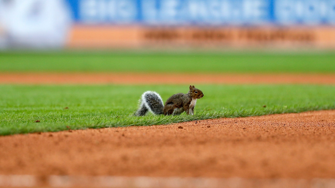 ‘Rally Squirrel’ returns, Cardinals beat Tigers 5-2