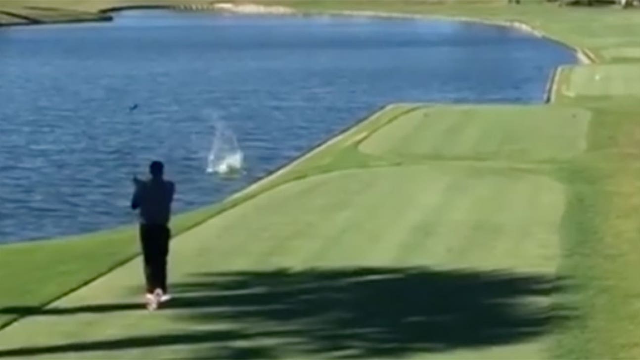 WATCH: Man hits, kills duck with drive at TPC Sawgrass (Graphic)