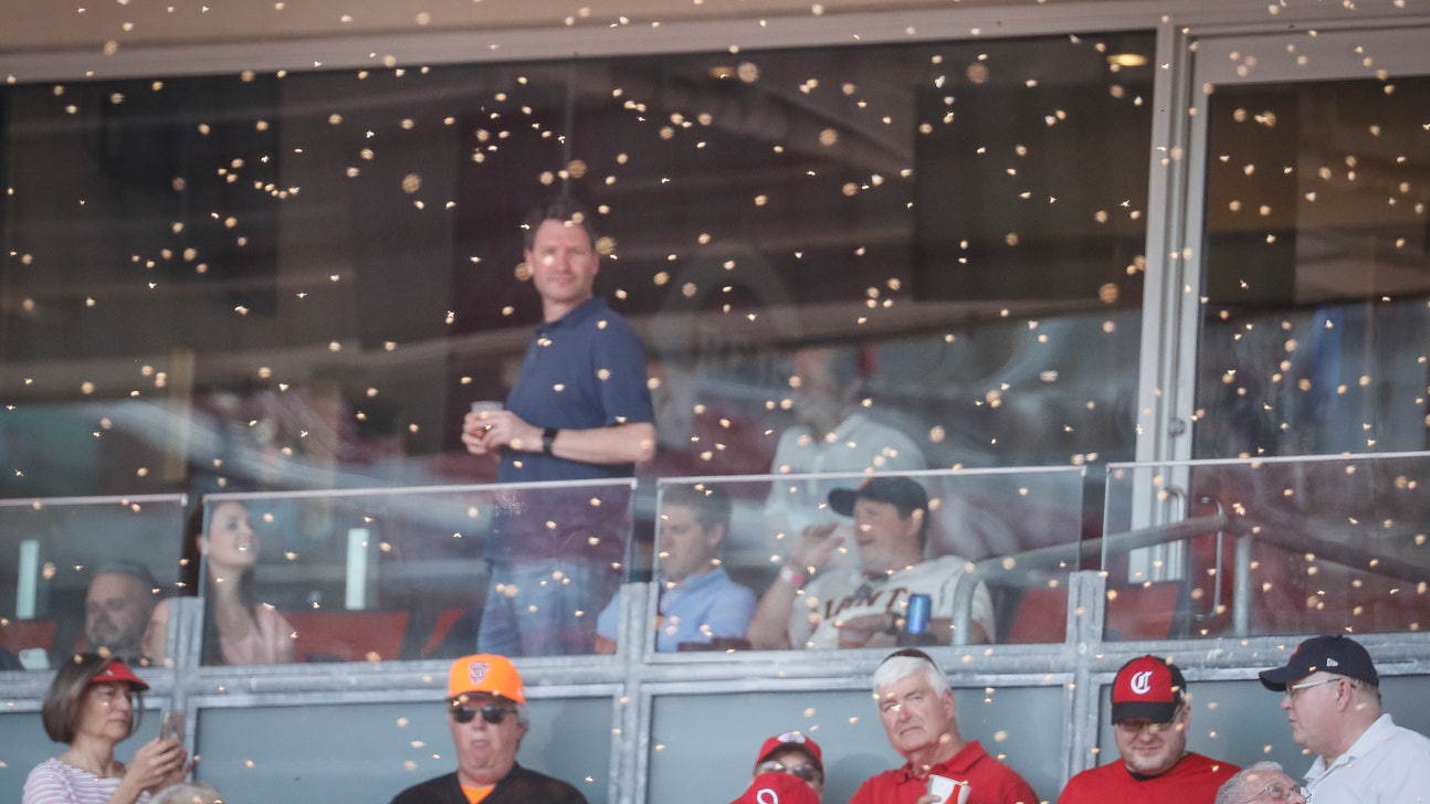 Buzzed: Swarm of bees forces delay to Giants-Reds game