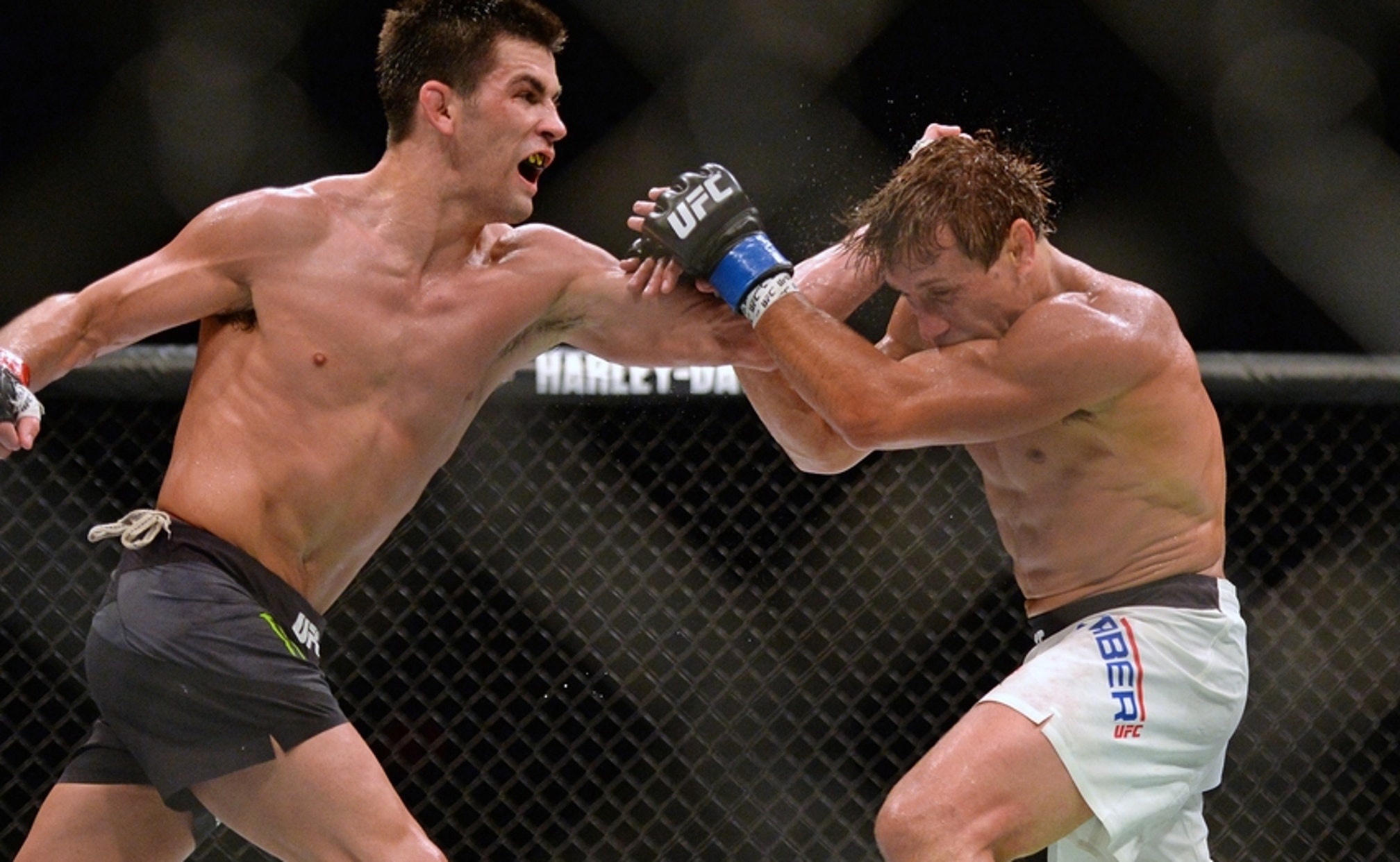 UFC Bantamweight in 2017: Dominick Cruz Taking All Challengers | FOX Sports