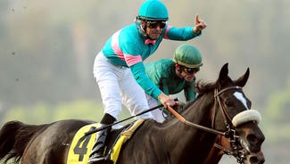 Next Story Image: Zenyatta filly Z Princess put down after paddock accident