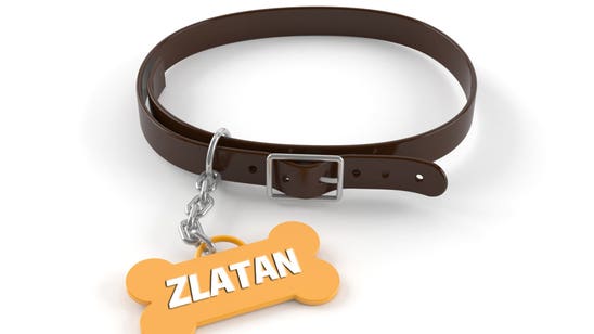 Santi Cazorla named his dog Zlatan, and other strange facts
