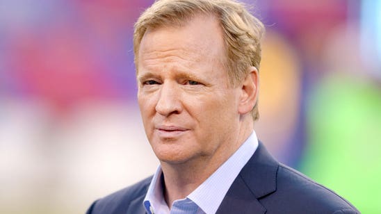 Goodell, owners expect future vote on LA relocation