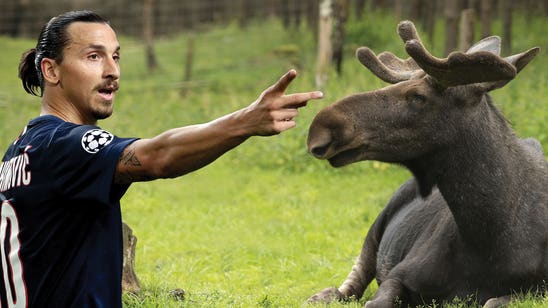 Zlatan Ibrahimovic: Moose Hunter