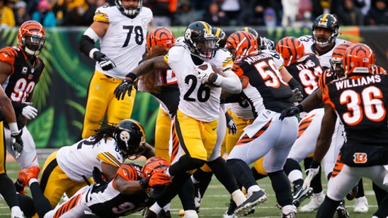 Boswell's 6 field goals lead Steelers over Bengals 24-20 (Dec 18, 2016)