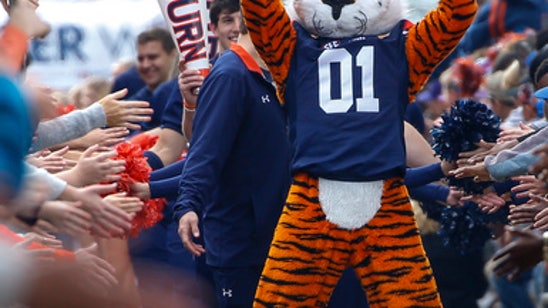 Auburn's Johnson: Iron Bowl "should be one for the ages"