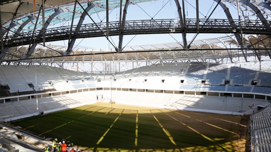 Russia warns of locusts destroying World Cup fields