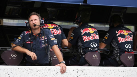 Red Bull boss warns F1 over 'vanilla-type regulations'