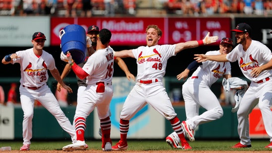 Senzel, Ervin help Reds beat Cardinals to salvage DH split