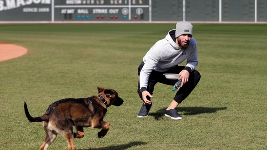World Series Bark Park: Porcello’s pup romps around Fenway