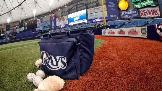 Tampa Bay Rays Top 10 Prospects For 2017