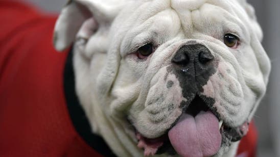 Georgia football offensive line getting bigger and better