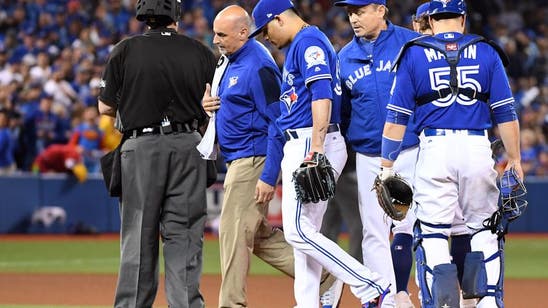 Continued health critical for Blue Jays in delicate 2017 season