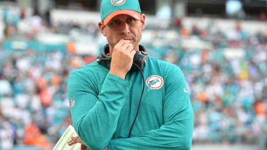 Dolphins: A Fairytale in Jeopardy