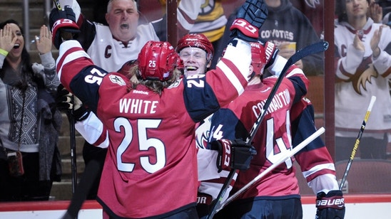 Arizona Coyotes: Fighting Has A Place In Hockey