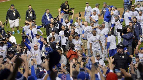 Chicago Cubs: Reviewing the year of the World Series champions