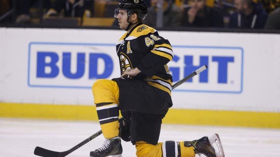 Boston Bruins: A 2016 Look At David Krejci