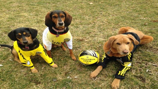 Even a cute dog can't save the new Columbus Crew SC kit