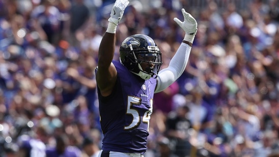 Baltimore Ravens Report Card: Grading The Defense