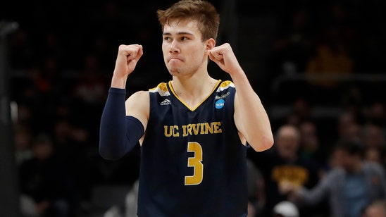 Looking for Cinderella? Check out Anteaters and the South