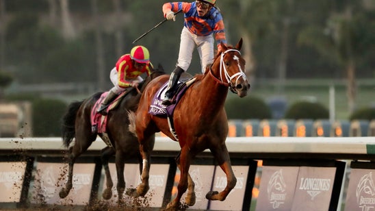 15-1 long shot fatally injured in Breeders' Cup Classic