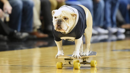Georgetown baskteball is giving away a very cute bulldog fanny pack