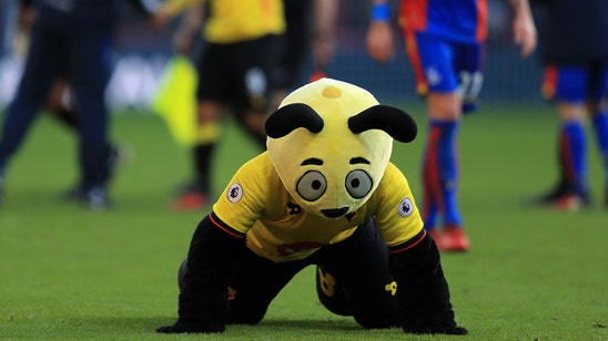 Watford's mascot mocked Crystal Palace's Wilfried Zaha by diving in front of him
