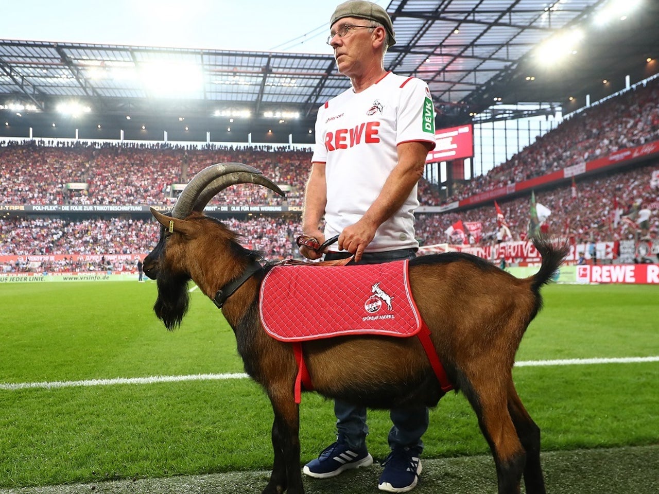 Match Made In German Soccer Heaven Fox Sports