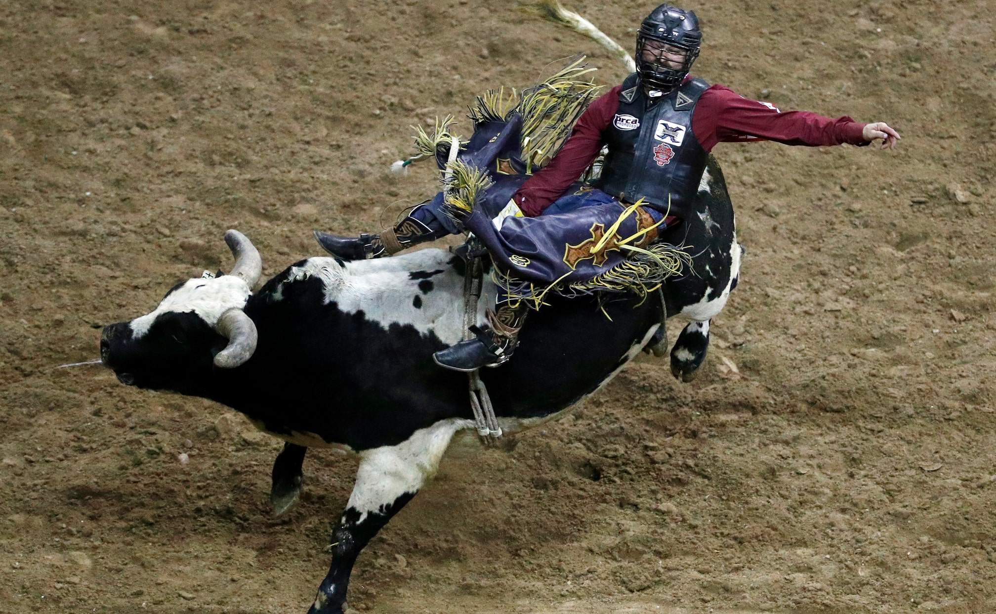 Bull riding may be 1st US professional sport to fans FOX Sports