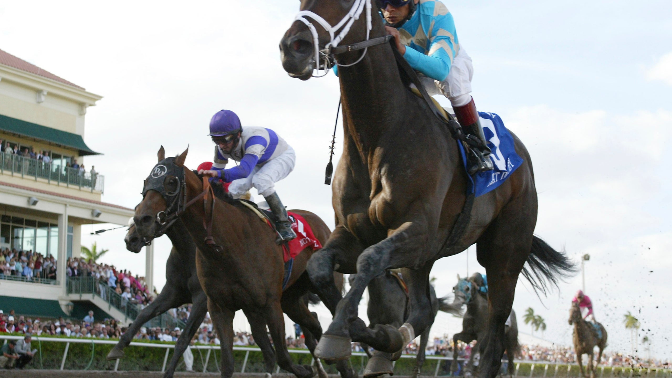 A Florida Derby  day  like none other looms at Gulfstream 